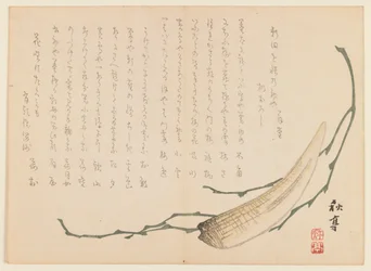 海藻と貝（木版画）